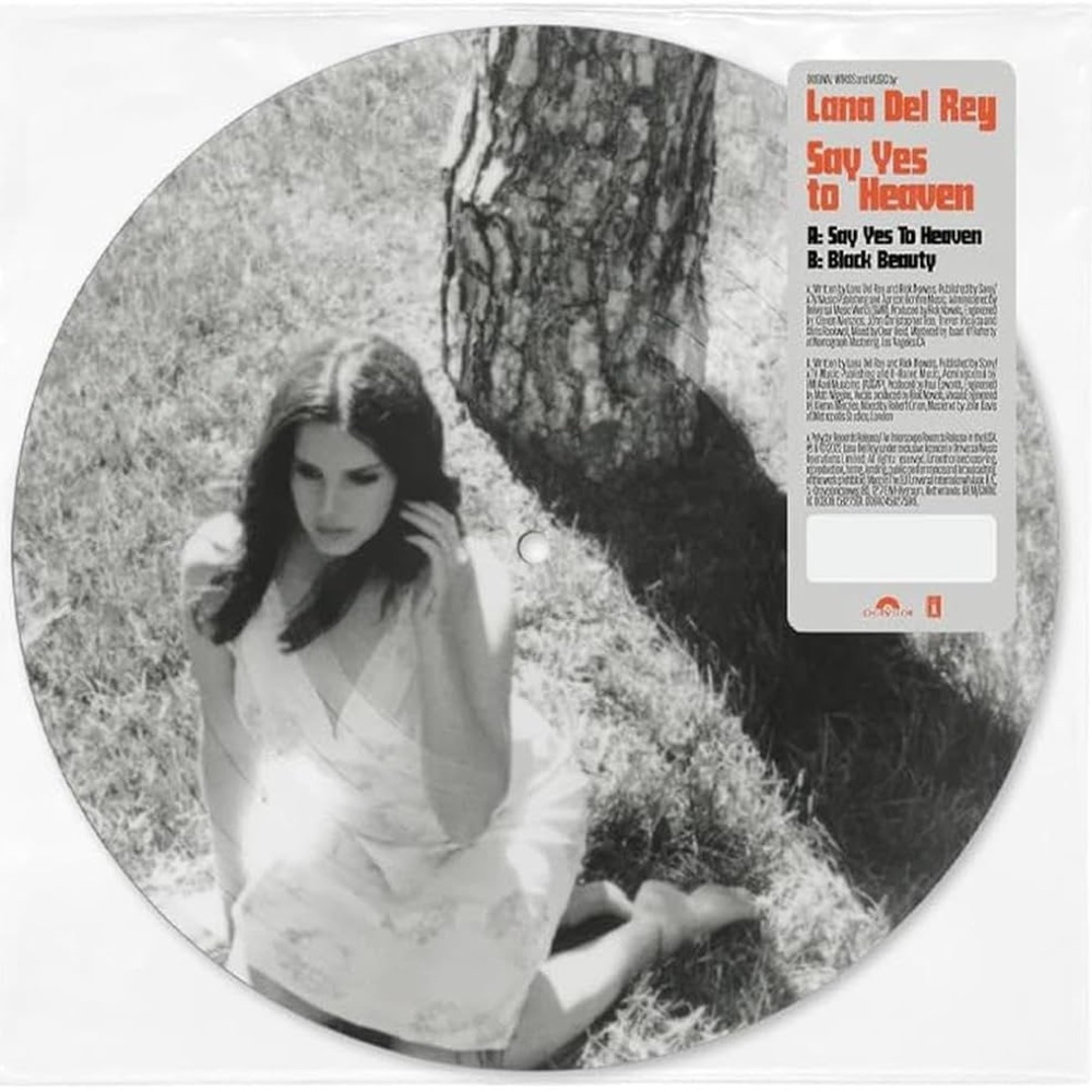 NEW! Lana Del Rey - Say Yes To Heaven Picture Disc 7 Inch Vinyl